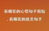 看烟花的优美句子【100句文案精选】