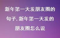 新年一天发的朋友圈怎么说【100句文案精选】