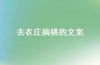 去农庄摘桃的文案【100句精选短句合集】