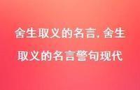 舍生取义的名言警句现代【100句文案精选】
