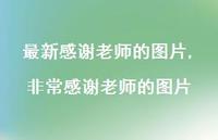非常感谢老师的图片【100句文案精选】