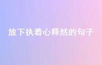 放下执着心释然的句子【100句精选短句合集】