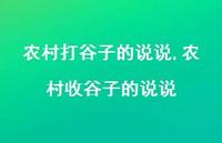 农村收谷子的说说(100句)