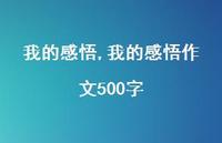 我的感悟作文500字【100句文案精选】