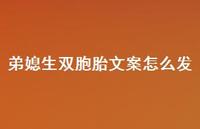 弟媳生双胞胎文案怎么发【100句精选短句合集】 弟媳生双胞胎文案怎么发【100句精选短句合集】