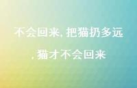 把猫扔多远,猫才不会回来(100句)