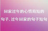 过年回家的句子短句【100句文案精选】