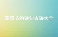 重阳节的诗句古诗大全62句汇总 重阳节的诗句古诗大全62句汇总