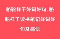 骆驼祥子读书笔记好词好句及感悟【100句文案精选】 骆驼祥子读书笔记好词好句及感悟【100句文案精选】
