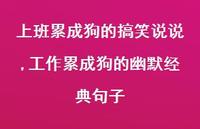 工作累成狗的幽默经典句子(100句) 工作累成狗的幽默经典句子(100句)