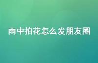 雨中拍花怎么发朋友圈【100句精选短句合集】