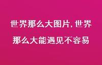 世界那么大能遇见不容易【精选100句】 世界那么大能遇见不容易【精选100句】