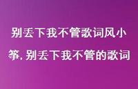 别丢下我不管的歌词(100句) 别丢下我不管的歌词(100句)