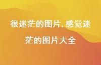 感觉迷茫的图片大全(100句)