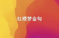 红楼梦金句(精选38句) 红楼梦金句(精选38句)