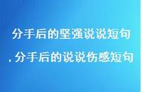 分手后的说说伤感短句(100句) 分手后的说说伤感短句(100句)