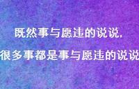 很多事都是事与愿违的说说(100句) 很多事都是事与愿违的说说(100句)