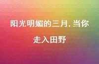 阳光明媚的三月,当你走入田野【100句精选短句合集】