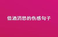 借酒消愁的伤感句子62句汇总