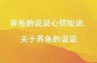 关于养鱼的说说【100句文案】 关于养鱼的说说【100句文案】