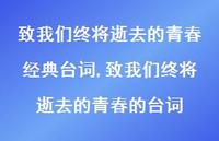 致我们终将逝去的青春的台词【100句文案精选】 致我们终将逝去的青春的台词【100句文案精选】
