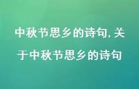 关于中秋节思乡的诗句【100句文案精选】