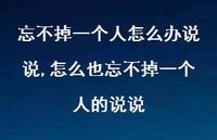 怎么也忘不掉一个人的说说(100句)