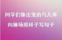 同学们像出笼的鸟儿奔向操场照样子写句子【100句精选短句合集】