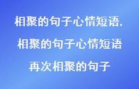相聚的句子心情短语 再次相聚的句子(100句)