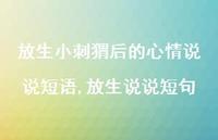 放生说说短句(100句) 放生说说短句(100句)