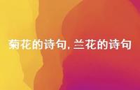 兰花的诗句【100句文案精选】 兰花的诗句【100句文案精选】
