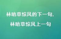 林暗草惊风上一句【100句文案精选】