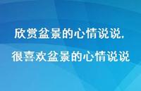 很喜欢盆景的心情说说(100句) 很喜欢盆景的心情说说(100句)