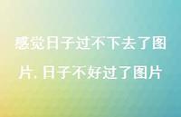 日子不好过了图片(100句)