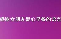 感谢女朋友爱心早餐的语言【100句精选短句合集】