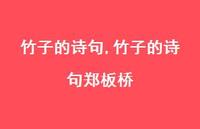 竹子的诗句郑板桥【精品文案100句】