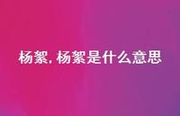 杨絮是什么意思【100句文案精选】