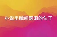 小说里瞬间落泪的句子67句汇总