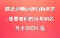 感恩老师的诗句和名言小学四年级【100句文案精选】