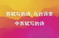 乌台诗案中苏轼写的诗【100句文案精选】
