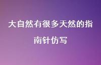大自然有很多天然的指南针仿写【100句精选短句合集】