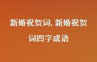 新婚祝贺词四字成语【100句文案精选】 新婚祝贺词四字成语【100句文案精选】
