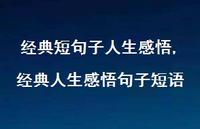 经典人生感悟句子短语【100句文案精选】