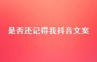 是否还记得我抖音文案【100句精选短句合集】