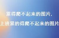 上班累的得爬不起来的图片(100句)
