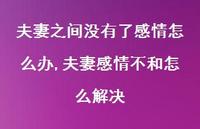 夫妻感情不和怎么解决(100句) 夫妻感情不和怎么解决(100句)