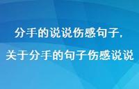 关于分手的句子伤感说说【100句文案】