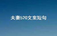夫妻520文案短句【100句精选短句合集】 夫妻520文案短句【100句精选短句合集】
