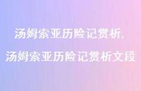 汤姆索亚历险记赏析文段【100句文案精选】 汤姆索亚历险记赏析文段【100句文案精选】