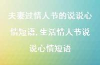 生活情人节说说心情短语【100句文案】